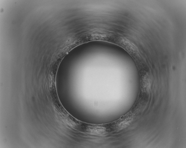 X0000086890463200704231132