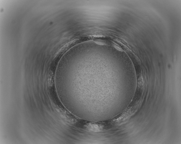 X0000086890464200704231132