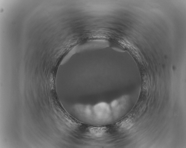 X0000086890465200704231132