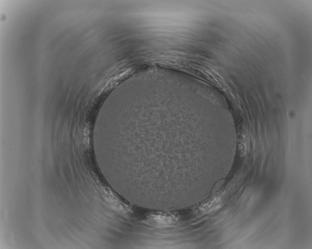 X0000086890466200704231132