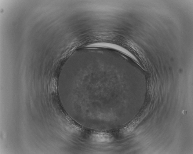 X0000086890467200704231132