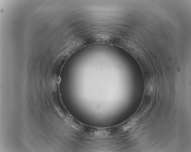 X0000086890468200704231132