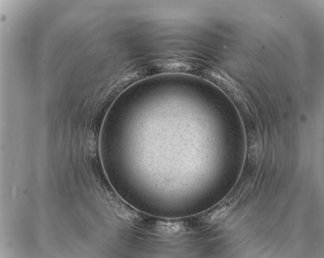 X0000086890469200704231132