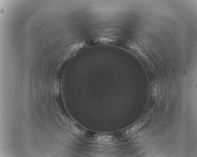 X0000086890471200704231132