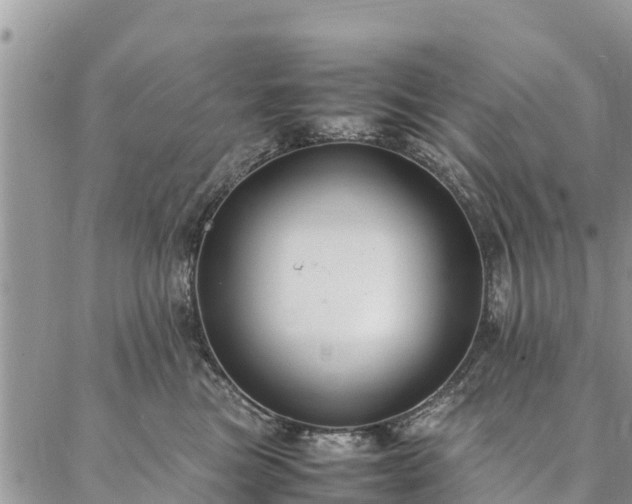 X0000086890473200704231132