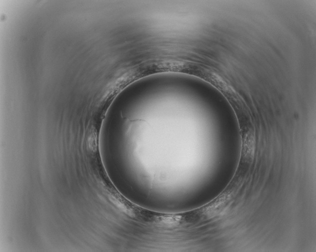 X0000086890474200704231132