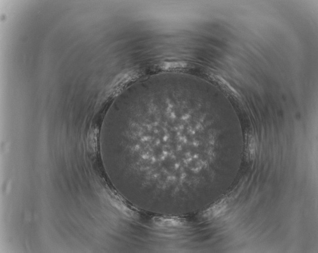 X0000086890475200704231132