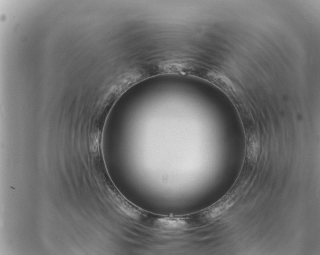 X0000086890477200704231133