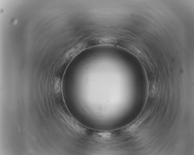 X0000086890478200704231133