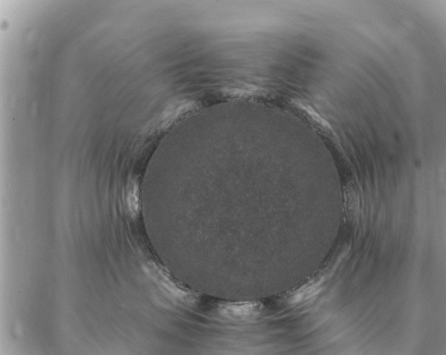 X0000086890479200704231133