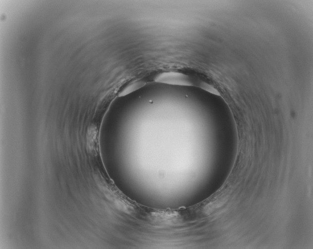 X0000086890480200704231133