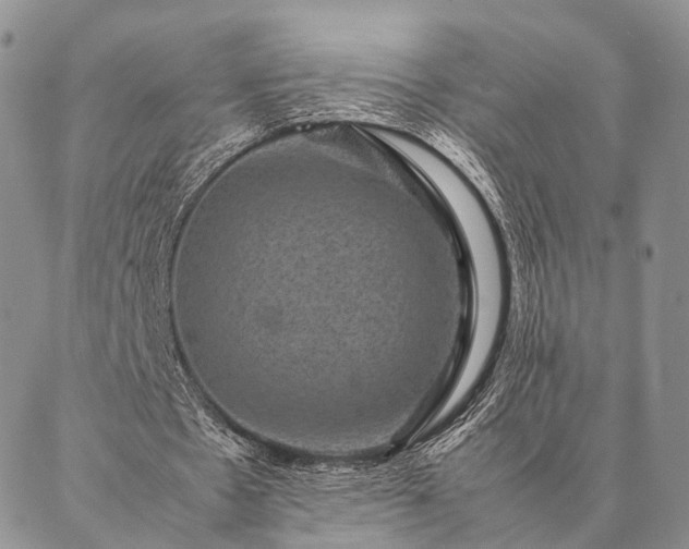 X0000086890481200704231132