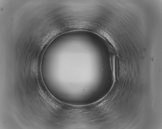 X0000086890482200704231132