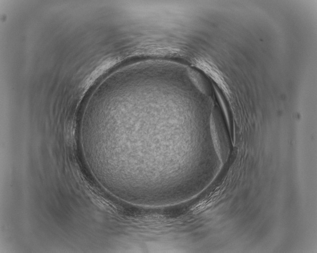 X0000086890483200704231132