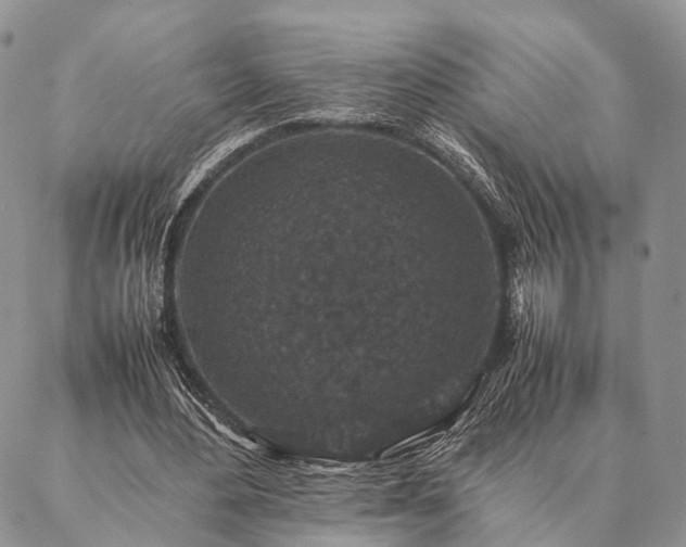 X0000086890484200704231132