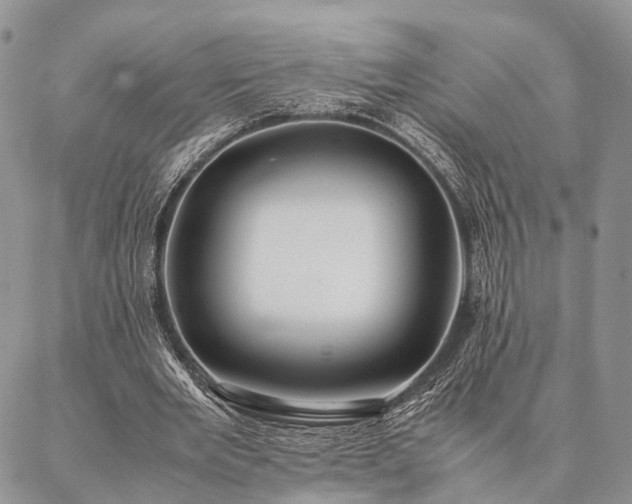 X0000086890485200704231132