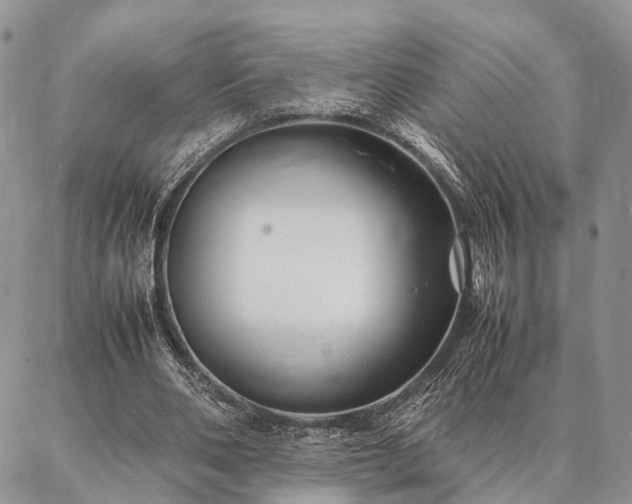 X0000086890486200704231132