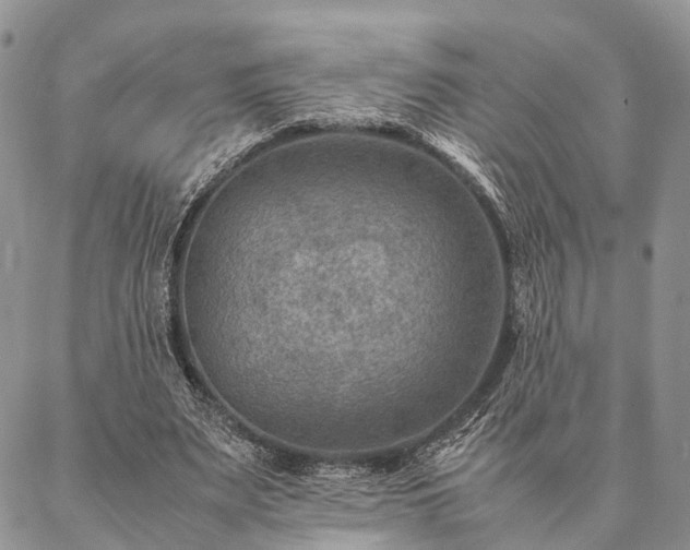 X0000086890487200704231132