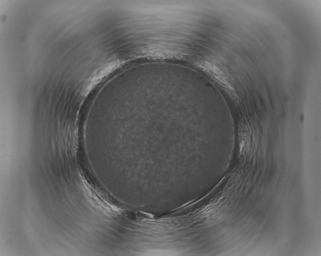 X0000086890488200704231132