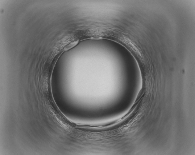 X0000086890489200704231132