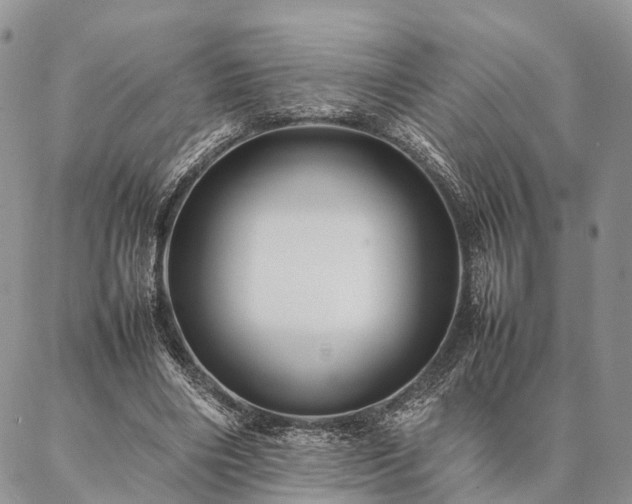 X0000086890490200704231132