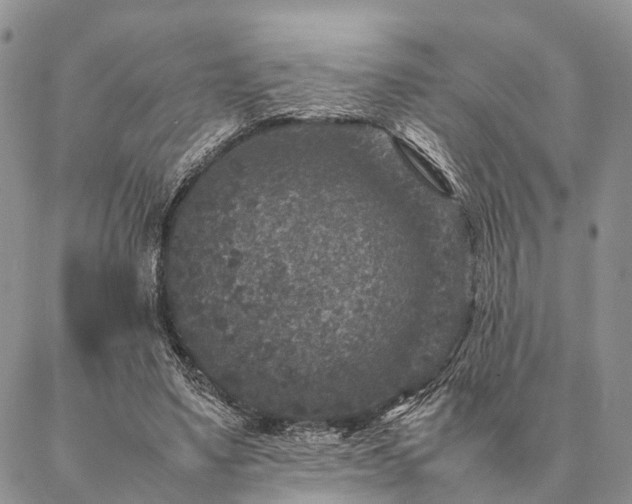 X0000086890491200704231132