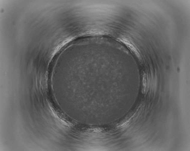 X0000086890492200704231132