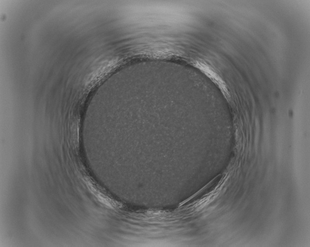 X0000086890493200704231132