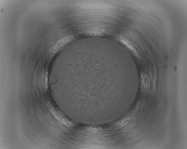 X0000086890494200704231132