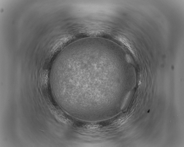 X0000086890495200704231132