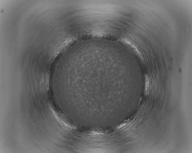 X0000086890496200704231132