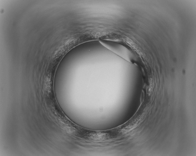 X0000086890497200704231132