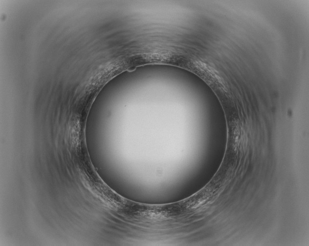 X0000086890498200704231131