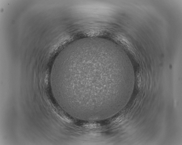 X0000086890499200704231131