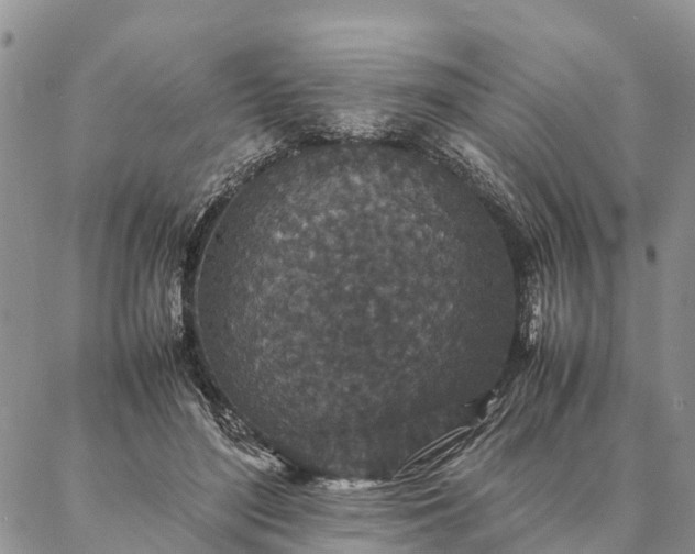 X0000086890500200704231131