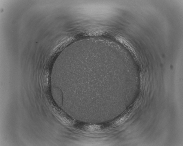 X0000086890501200704231131