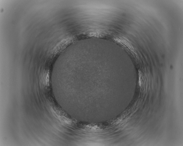 X0000086890502200704231131