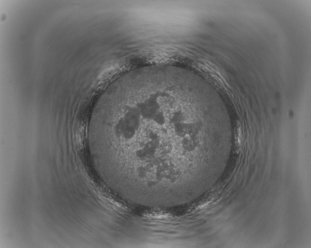 X0000086890503200704231131