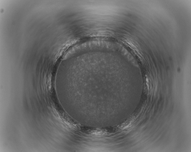 X0000086890504200704231131