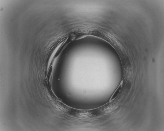 X0000086890505200704231131