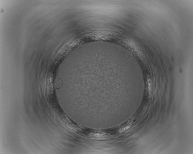 X0000086890506200704231131