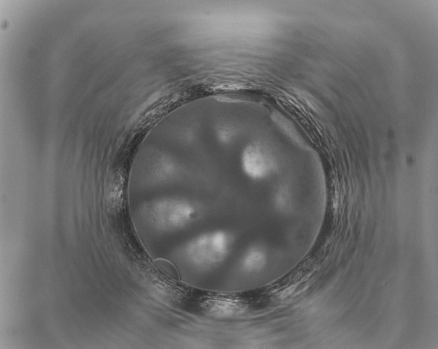 X0000086890507200704231131