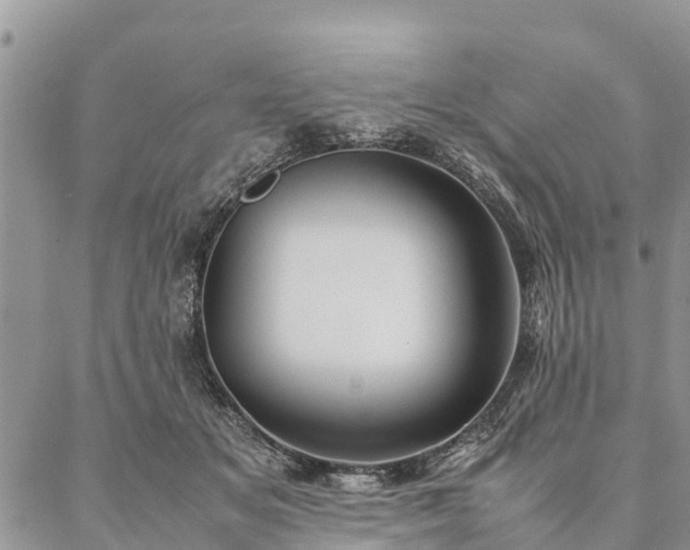 X0000086890509200704231131