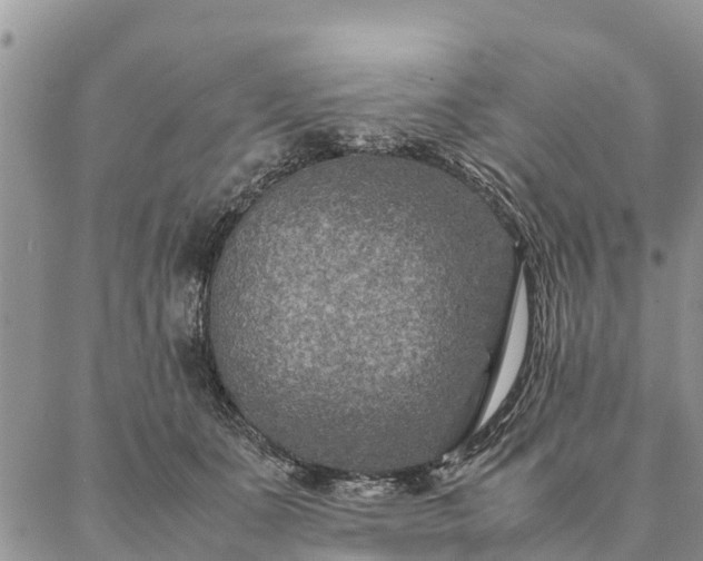 X0000086890511200704231131