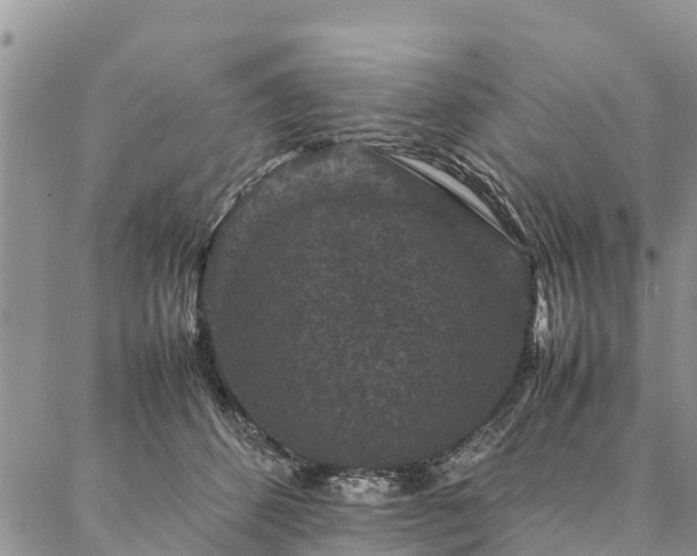 X0000086890512200704231131