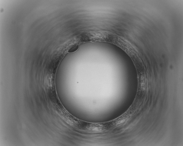 X0000086890514200704231131