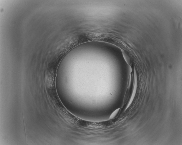 X0000086890515200704231131