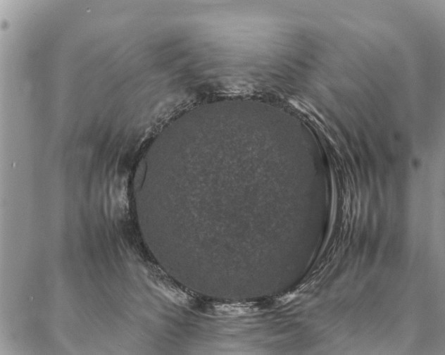 X0000086890516200704231131