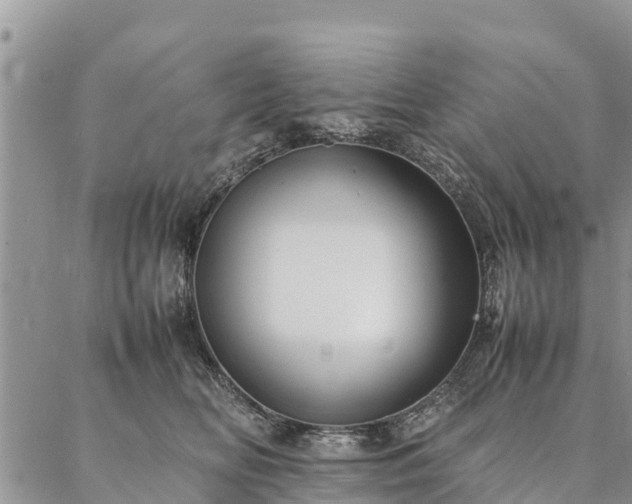 X0000086890518200704231131