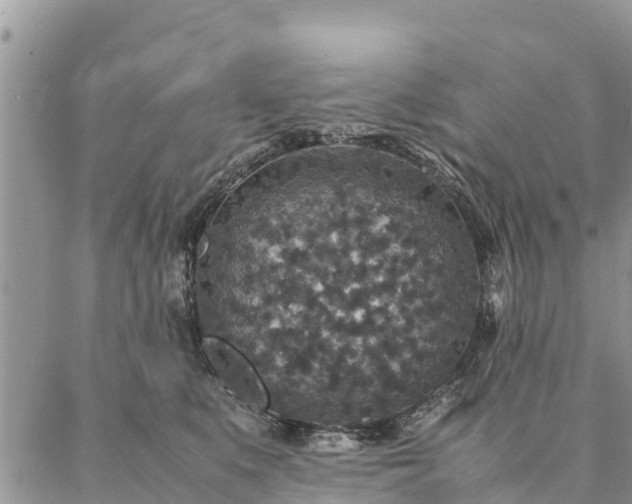 X0000086890519200704231131